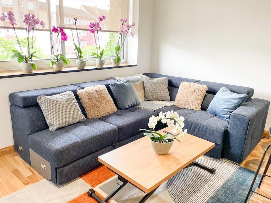 Appartement Cote Jardin - Centre Alençon Extérieur photo